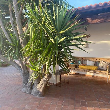 Dimorra Sun And Relax Villa Forio di Ischia Buitenkant foto